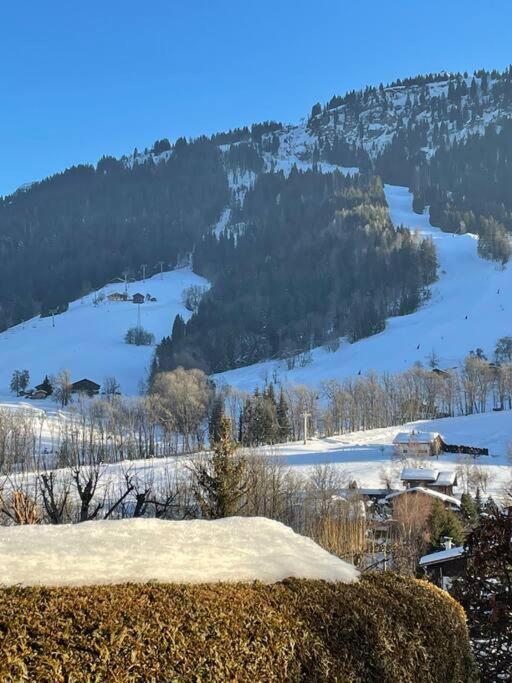 Charmant Studio + Jardin Vue Pistes Et Local Velo براس-سور-آرلي المظهر الخارجي الصورة